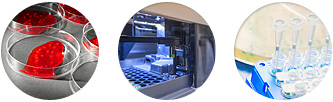 AMSolutions AMSolutions