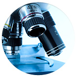 AMSolutions - Mikrobiologiczne badania molekularne